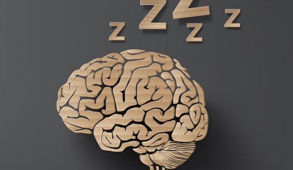 Wat gebeurt er in de hersenen wanneer we slapen