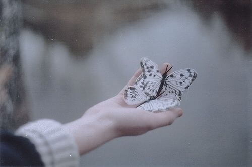 Twee vlinders in een hand als symbool voor evenwicht