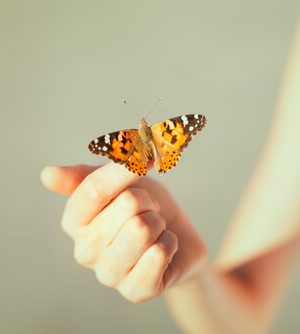 Vlinder die op de vinger van een meisje zit