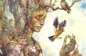 De wijsheid van bomen over het vinden van geluk