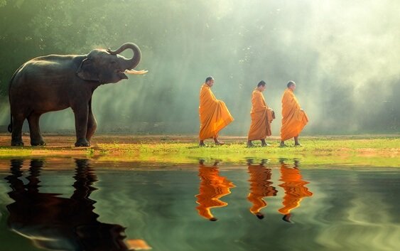 Drie boeddhistische monniken met een olifant