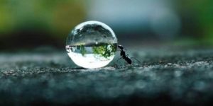 Doorzettingsvermogen is het voedsel van dromen