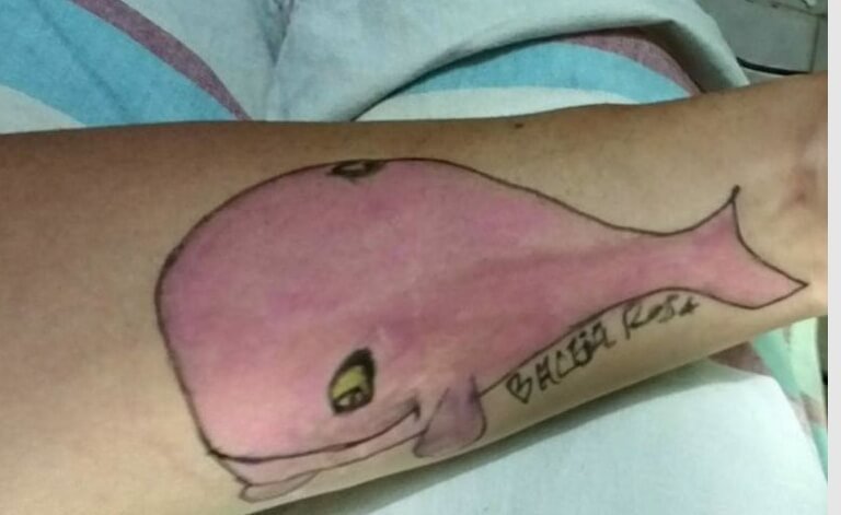 Blauwe walvis