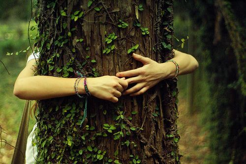 Vrouw die een boom omhelst vanwege de kracht van dankbaarheid