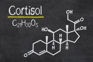 Cortisol, het stresshormoon