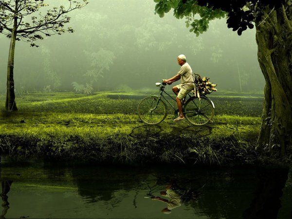 Man op de fiets