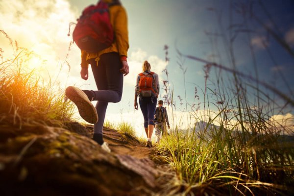 Wandelen in de natuur met een groep vrienden