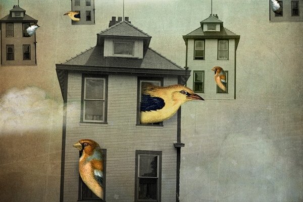 Zwevende huisjes waar vogels uit komen