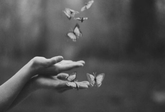 Twee handen waar vlinders op afkomen want het gaat over het vlindereffect