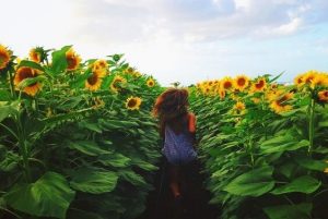 Vijf onvergetelijke momenten die altijd bij je zullen blijven