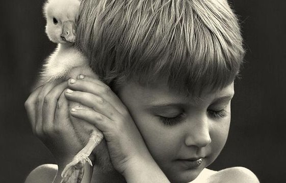 Jongetje met een klein vogeltje