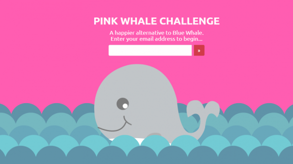Blauwe walvis