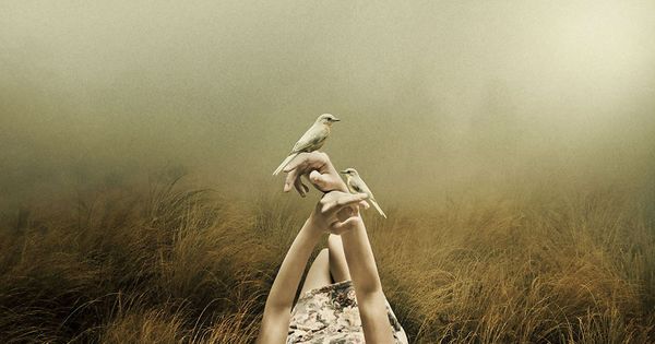 Vrouw in mistig veld met twee vogels op haar handen