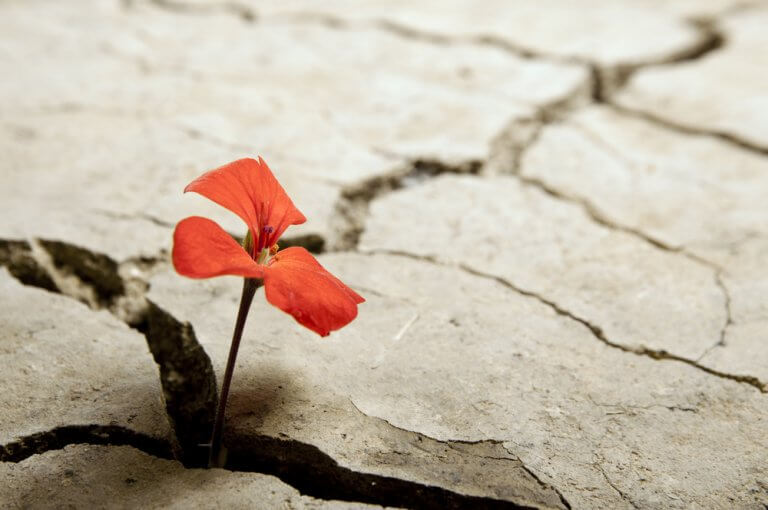 Optimistische mensen, dappere mensen