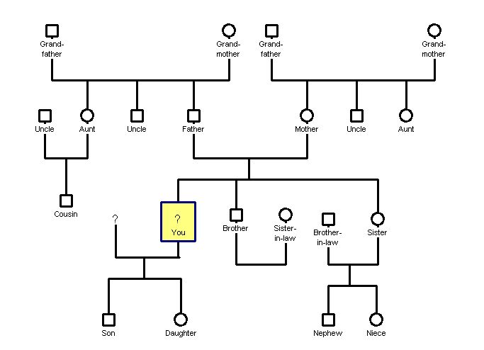 Genogram maken