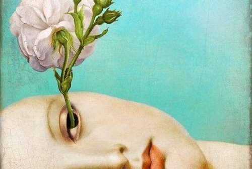 Bloem groeit uit oog