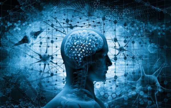 Neurobiologie van de veerkracht