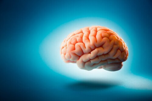 5 mythes over de hersenen waarvan je dacht dat ze waar waren