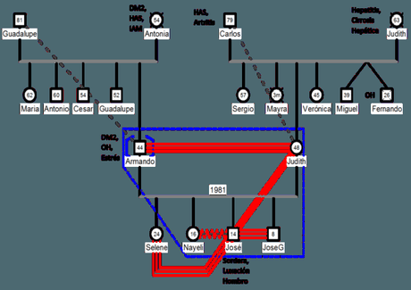Genogram maken
