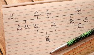 Hoe moet je een genogram maken?