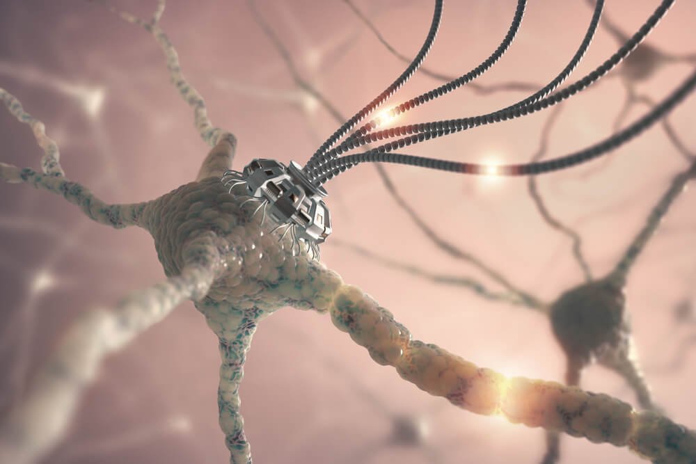 Neuronen