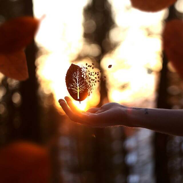 Vertrouwen creëren in de natuur