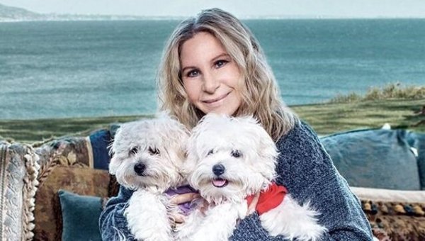 Barbara Streisand met haar honden