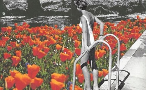 Vrouw die in een zwembad stapt dat gevuld is met bloemen,maar problemen in je relatie kunnen zich altijd voordoen