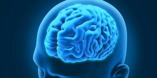 hersenen Neurologische aandoeningen: hersenen