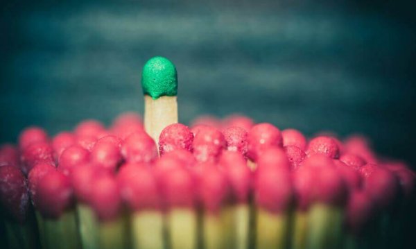 Een groene lucifer die boven allemaal rode lucifers uitsteekt, want dat is wat een leider doet