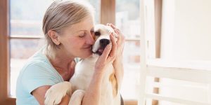 Voordelen van therapie met dieren