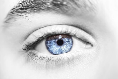 Blauw oog