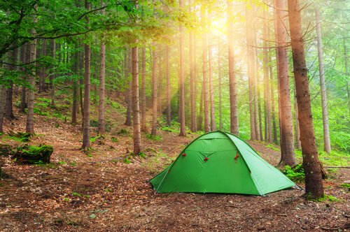 Een tentje in het bos, als verwijzing naar het Robber's cave experiment