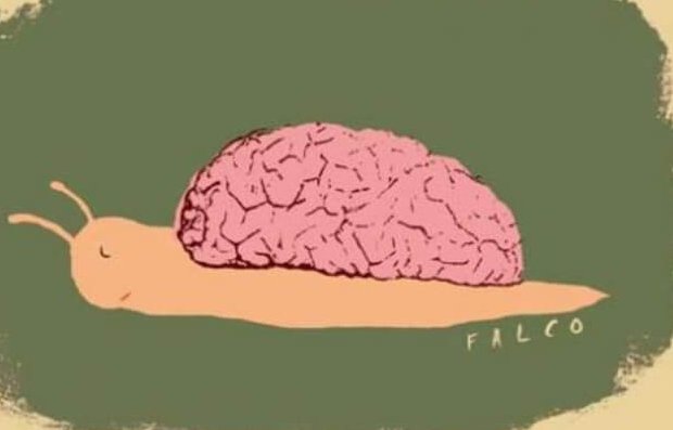 Het onderwijssysteem