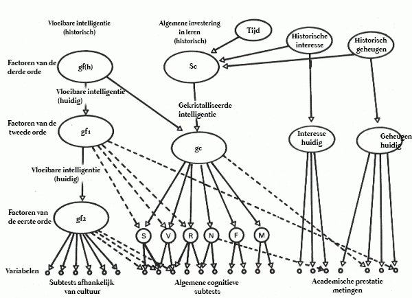 Het intelligentiemodel van Cattell diagram