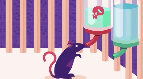 Rat drinkt gif tijdens experiment