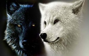 De Cherokee legende over de twee wolven