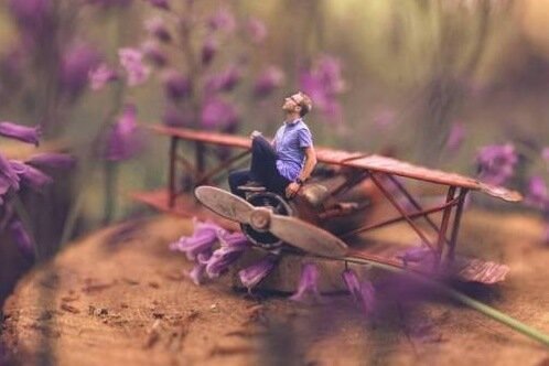 Man op een vliegtuigje