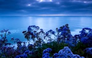 De stressverlichtende kleur: blauw