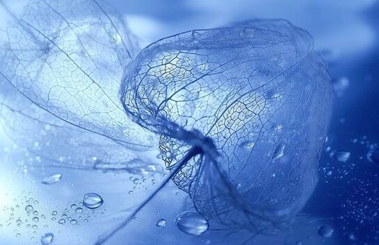 Blauw, de stressverlichtende kleur.