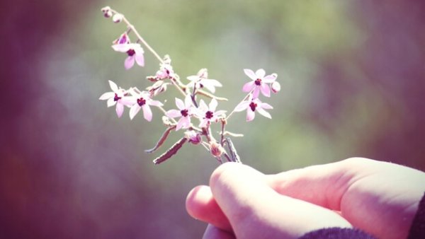 Kleine bloemetjes: dankbaar zijn voor de kleine dingen