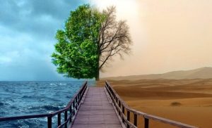 Depressie behandelen met gestalttherapie: 4 kernpunten