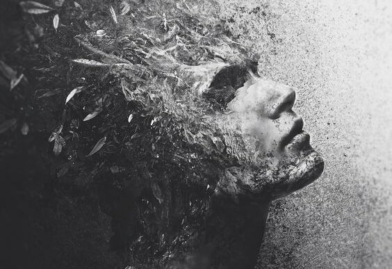 Een met veren bedekt gezicht van iemand die ongevoelig is voor de pijn van anderen