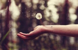 Hoe kan je het litteken van verraad laten helen?