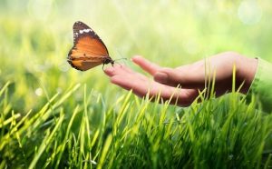 Waarom is kinesthetische communicatie zo belangrijk?