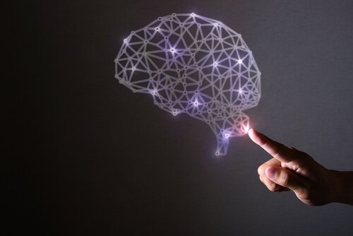 De hersenen en de wetenschap van geluk