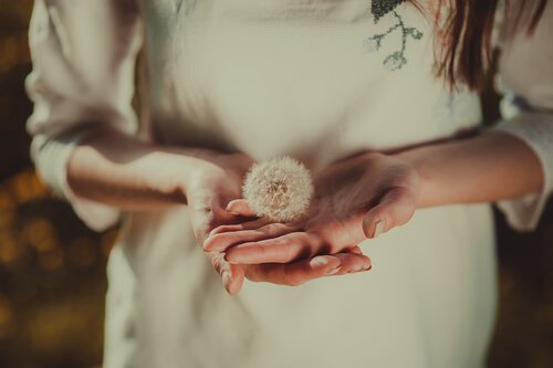 Vrouw die een paardenbloem in haar handen houdt om magische momenten te creeren