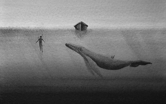 Walvis die ongevoelig is voor het leed van de mens