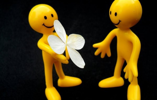 Sadisme is één van de gezichten van afgunst