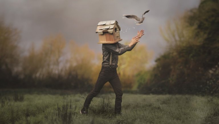 Man met een vogelhuis als hoofd